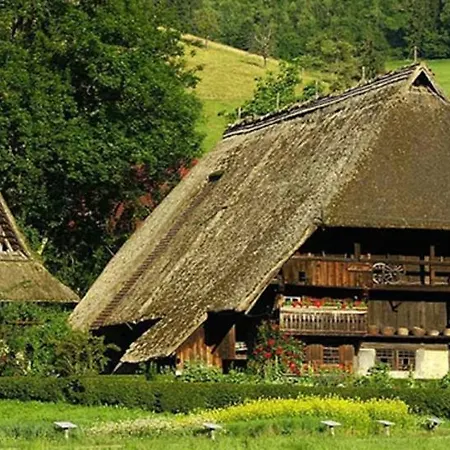 Scheune Anni Gutach Exterior foto