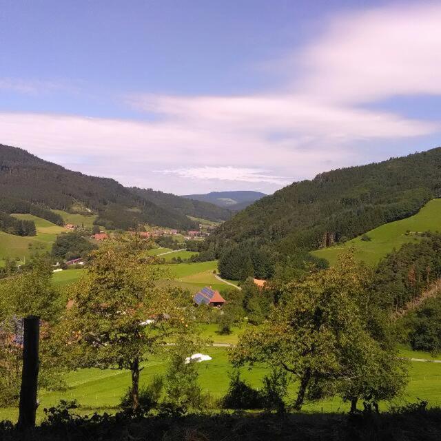 Ferienhaus Scheune Anni *
