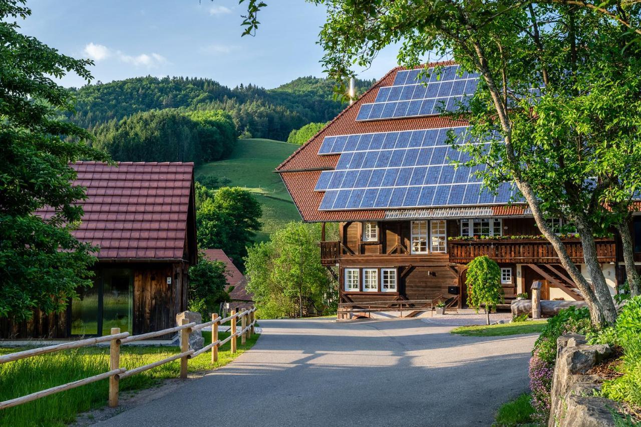 Scheune Anni Ferienhaus Gutach